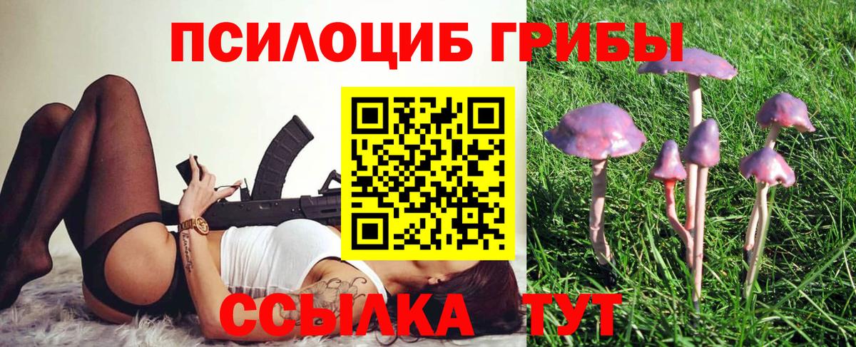 Лосино-Петровский  Галлюциногенные грибы прущие грибы  Псилоцибиновые грибы Magic Shrooms  Вход с VPN 
